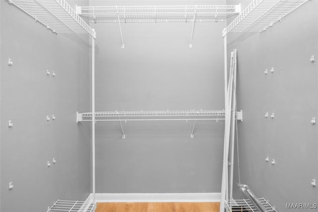 215 Hunters Rd, Eclectic, AL 36024 - walk in closet featuring wood finished floors