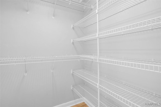 215 Hunters Rd, Eclectic, AL 36024 - view of pantry