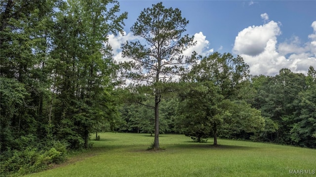 215 Hunters Rd, Eclectic, AL 36024 - view of green lawn featuring a view of trees