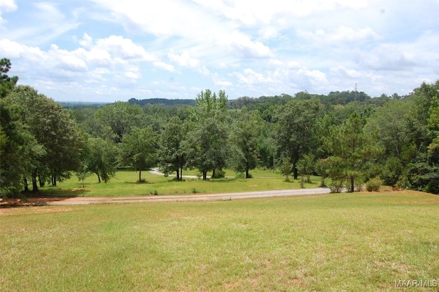 468 County Road 25th Rd, Prattville, AL 36067 - photo 9