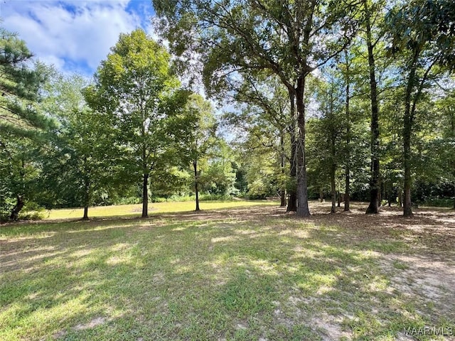 468 County Road 25th Rd, Prattville, AL 36067 - photo 33