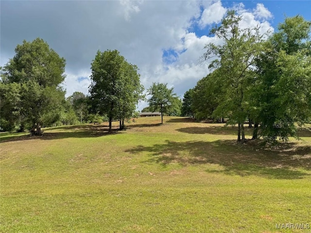 468 County Road 25th Rd, Prattville, AL 36067 - photo 35
