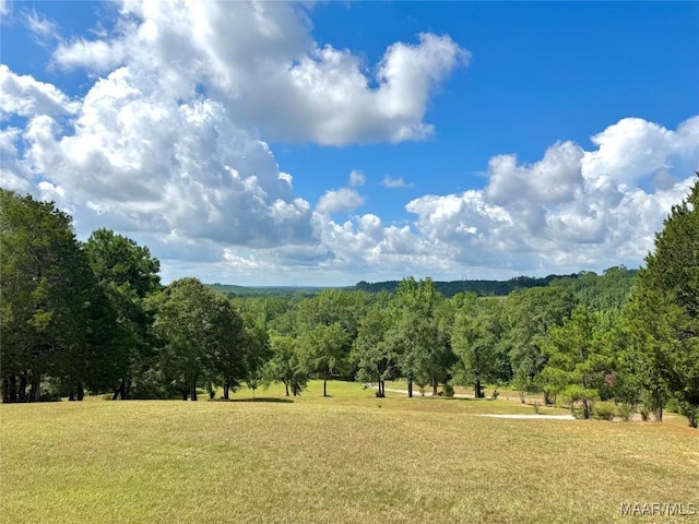468 County Road 25th Rd, Prattville, AL 36067 - photo 37