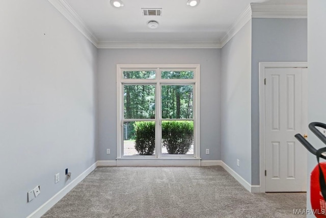 7930 Mossy Oak Dr, Montgomery, AL 36117 - workout room with crown molding, carpet floors, and plenty of natural light