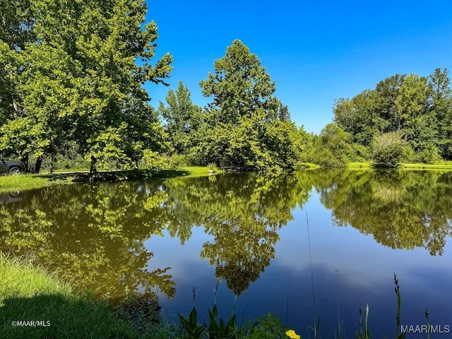 8630 Tallahatta Springs Rd, Thomasville, AL 36784 - photo 6