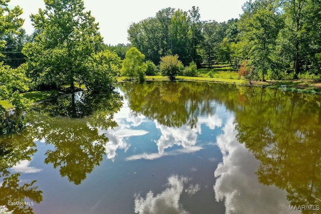 8630 Tallahatta Springs Rd, Thomasville, AL 36784 - photo 57