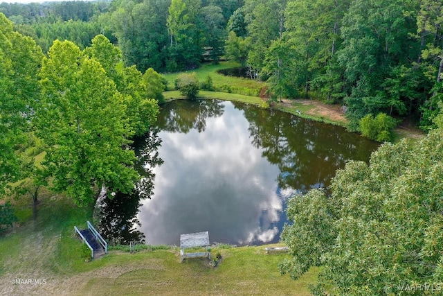 8630 Tallahatta Springs Rd, Thomasville, AL 36784 - photo 59