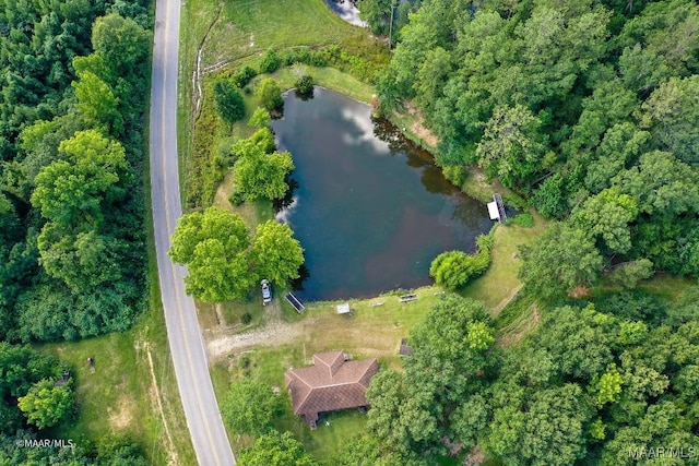 8630 Tallahatta Springs Rd, Thomasville, AL 36784 - photo 60