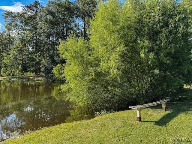 8630 Tallahatta Springs Rd, Thomasville, AL 36784 - photo 61