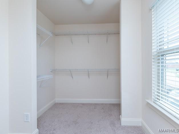 1531 Wingate Park Ct, Montgomery, AL 36117 - walk in closet with carpet floors