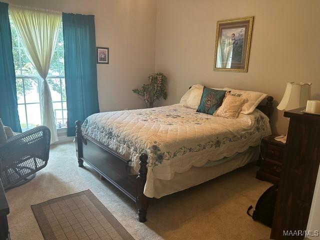 464 Shepherd Rd, Titus, AL 36080 - photo 17