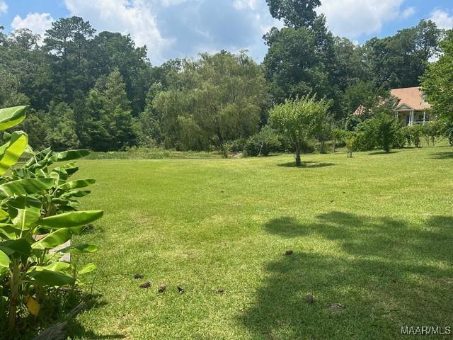 464 Shepherd Rd, Titus, AL 36080 - photo 30