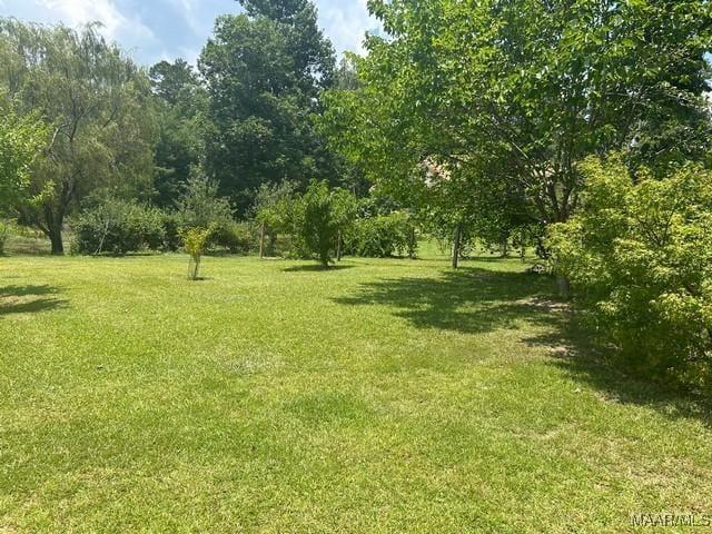 464 Shepherd Rd, Titus, AL 36080 - photo 31