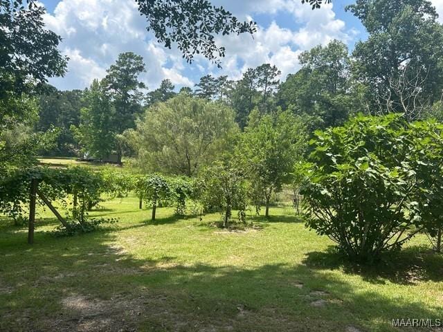 464 Shepherd Rd, Titus, AL 36080 - photo 32
