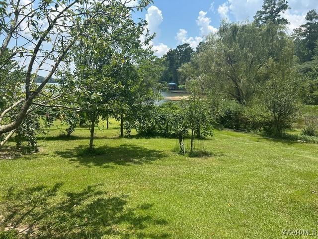 464 Shepherd Rd, Titus, AL 36080 - photo 33