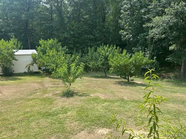 464 Shepherd Rd, Titus, AL 36080 - photo 46