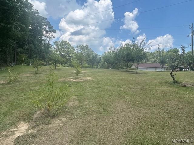 464 Shepherd Rd, Titus, AL 36080 - photo 47