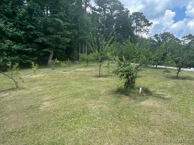 464 Shepherd Rd, Titus, AL 36080 - photo 48