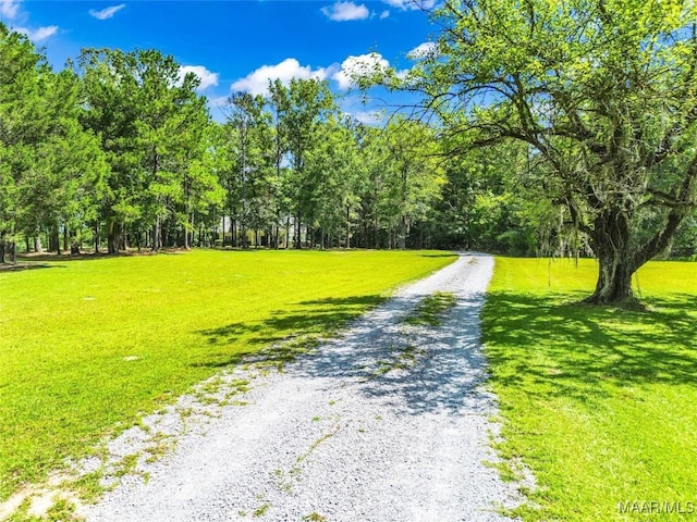 9021 Creek Side Trl, Hope Hull, AL 36043 - view of community with a lawn