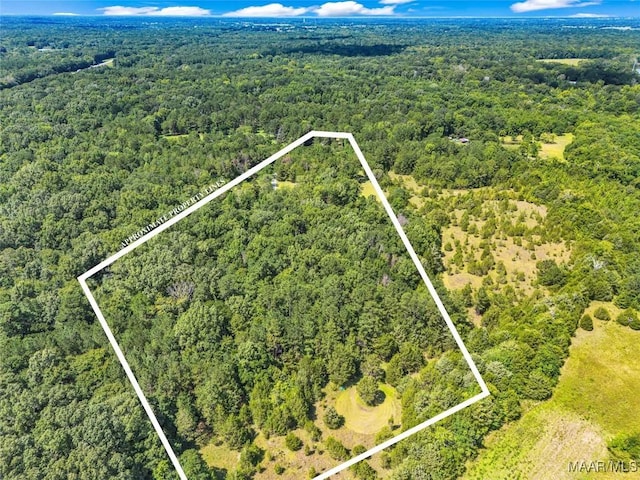 9021 Creek Side Trl, Hope Hull, AL 36043 - aerial view of property and surrounding area with property boundaries highlighted