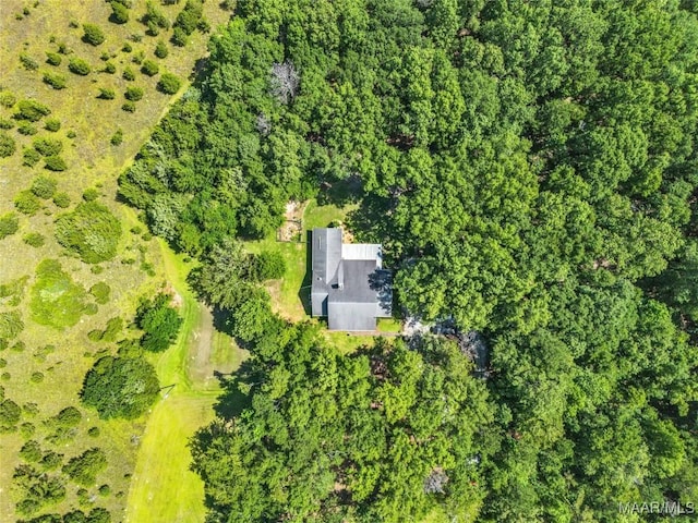 9021 Creek Side Trl, Hope Hull, AL 36043 - bird's eye view