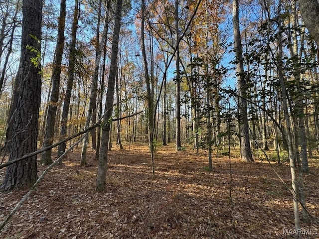 2 Jug Factory Rd, Wetumpka, AL 36093