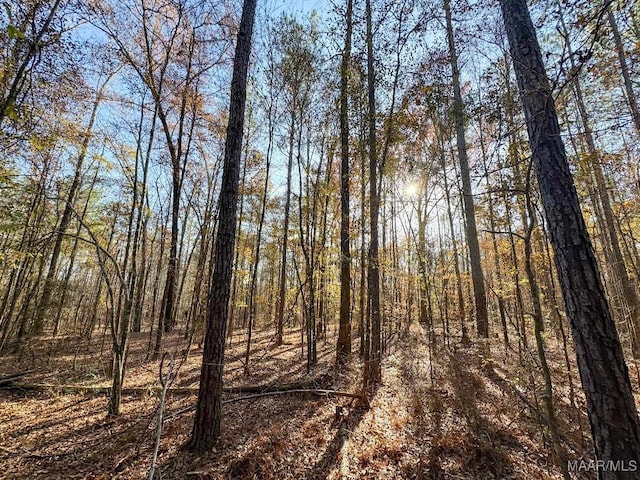2 Jug Factory Rd, Wetumpka, AL 36093