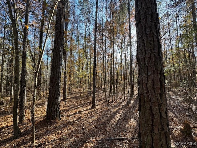 2 Jug Factory Rd, Wetumpka, AL 36093