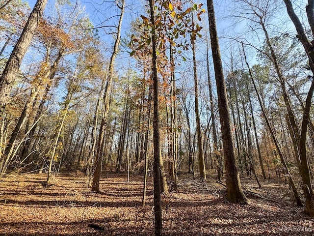 2 Jug Factory Rd, Wetumpka, AL 36093