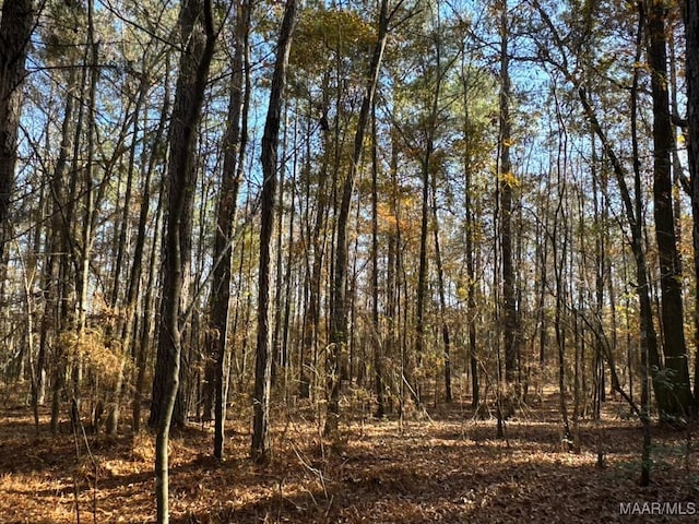 2 Jug Factory Rd, Wetumpka, AL 36093