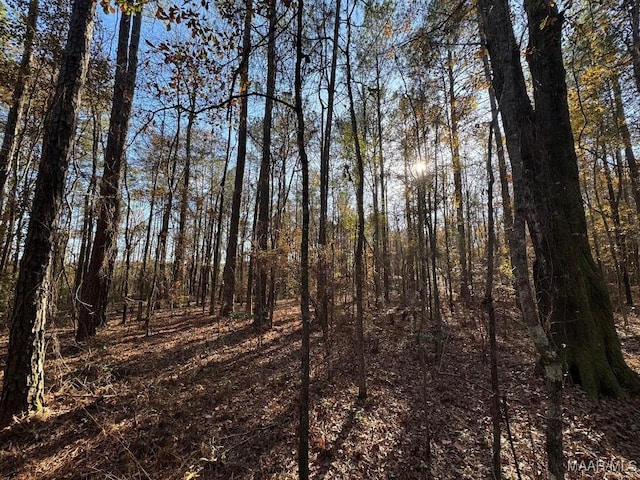2 Jug Factory Rd, Wetumpka, AL 36093