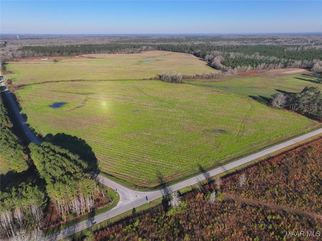 1 County Road 22nd Rd, Union Springs, AL 36086 - photo 2