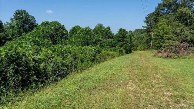 0 Giles St, Edwardsville, AL 36264