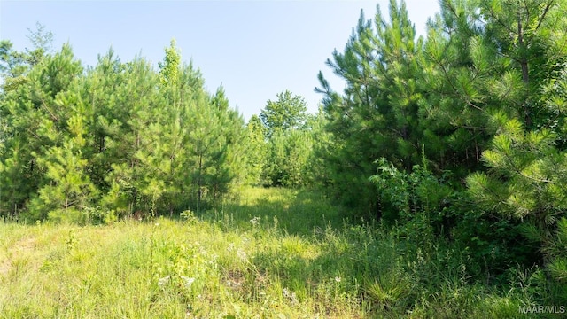 0 Giles St, Edwardsville, AL 36264