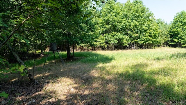0 Giles St, Edwardsville, AL 36264