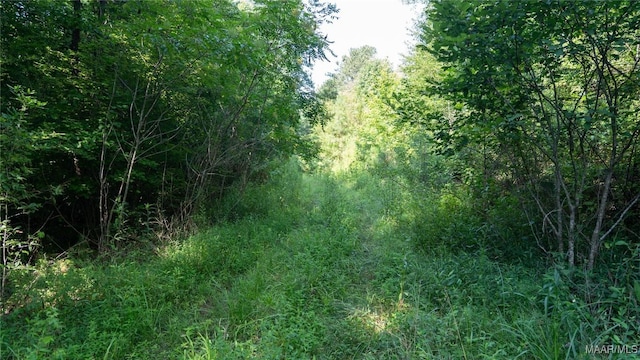0 Giles St, Edwardsville, AL 36264