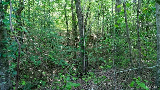 0 Giles St, Edwardsville, AL 36264
