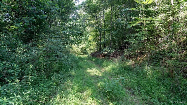 0 Giles St, Edwardsville, AL 36264