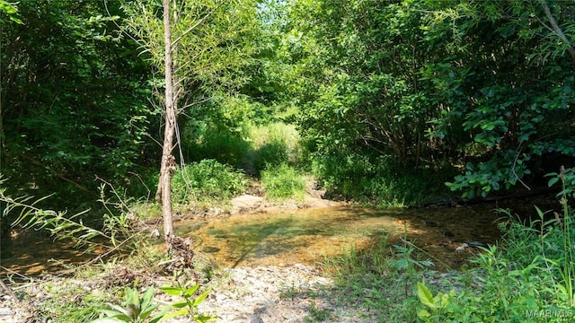 0 Giles St, Edwardsville, AL 36264