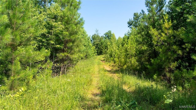 0 Giles St, Edwardsville, AL 36264