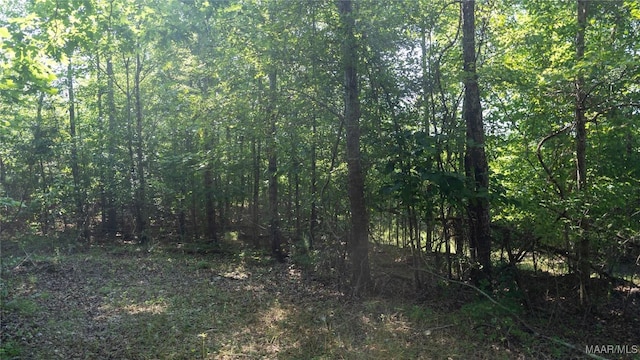 0 Giles St, Edwardsville, AL 36264