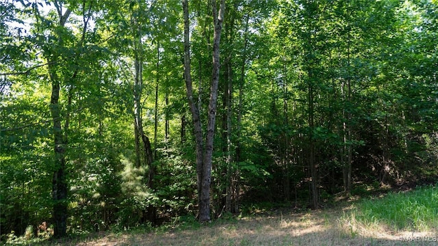 0 Giles St, Edwardsville, AL 36264