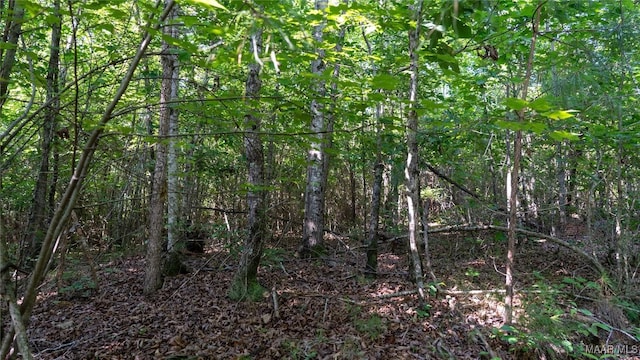 0 Giles St, Edwardsville, AL 36264
