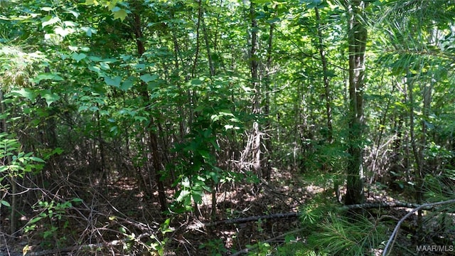 0 Giles St, Edwardsville, AL 36264