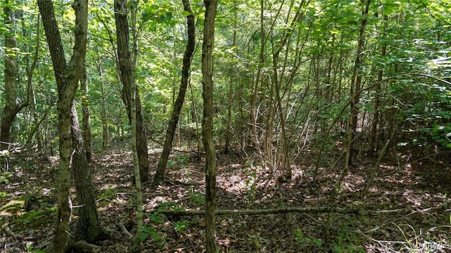 0 Giles St, Edwardsville, AL 36264