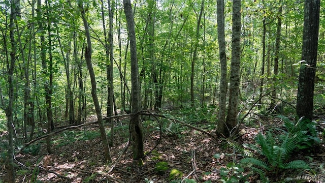 0 Giles St, Edwardsville, AL 36264