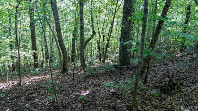 0 Giles St, Edwardsville, AL 36264