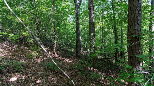 0 Giles St, Edwardsville, AL 36264