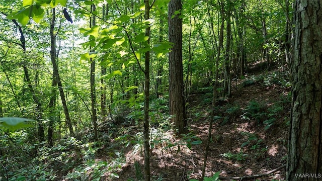 0 Giles St, Edwardsville, AL 36264