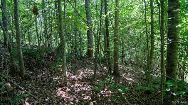 0 Giles St, Edwardsville, AL 36264